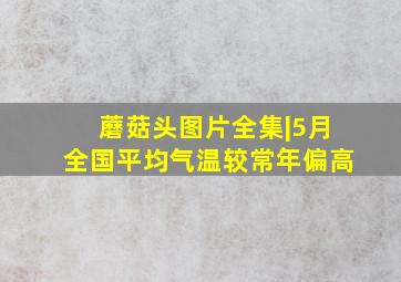 蘑菇头图片全集|5月全国平均气温较常年偏高